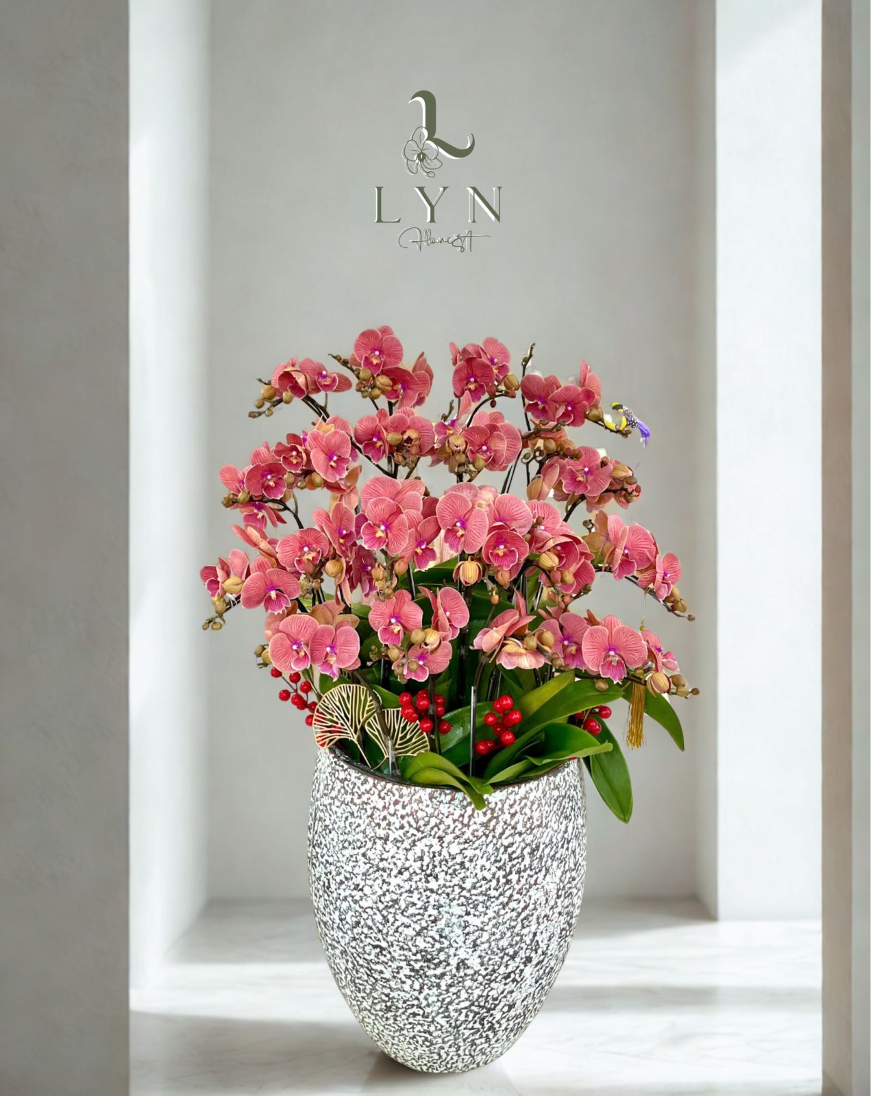 Chậu Hoa Lan Mini Cam Hồng